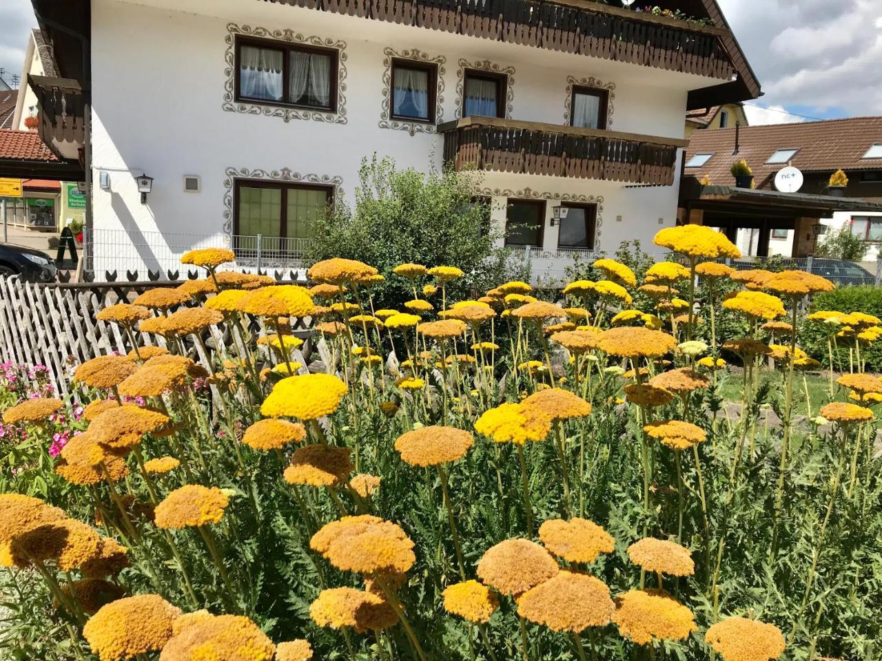 Hotel-Pension Zum Bierhaus Rötenbach Exteriér fotografie