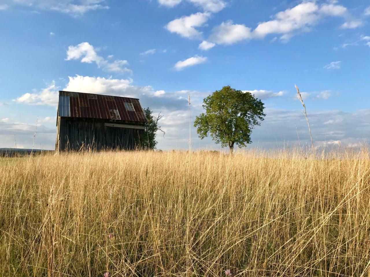 Hotel-Pension Zum Bierhaus Rötenbach Exteriér fotografie